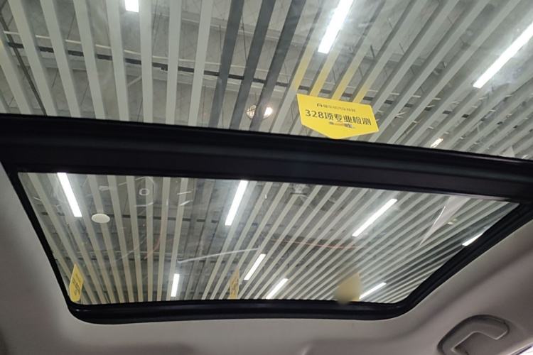 Used Haval LHERY 2021 High-Performance Version 1.5T Golden Rabbit Headliner