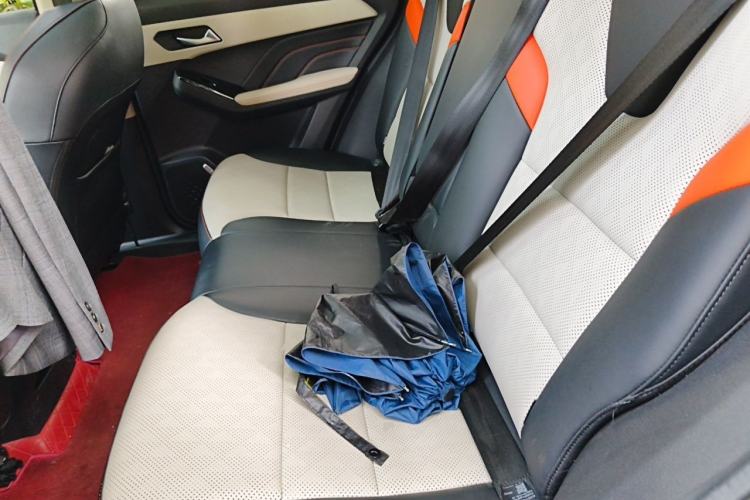 Used Haval LHERY 2021 GT Edition 1.5T Platinum Rabbit Left Rear Seat