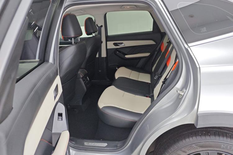 Used Haval LHERY 2021 High-Performance Version 1.5T Golden Rabbit Left Rear Seat