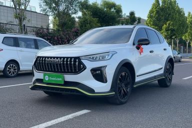 Used Haval LHERY 2021 High-Performance Version 1.5T Golden Rabbit