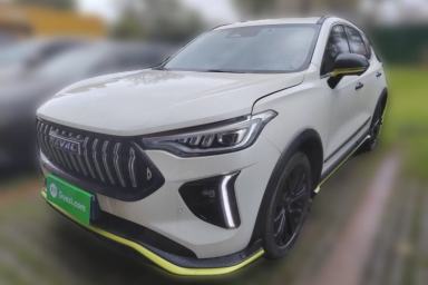 Used Haval LHERY 2021 High-Performance Version 1.5T Golden Rabbit