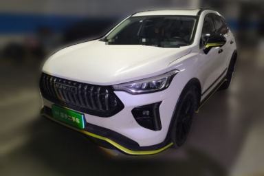 Used Haval LHERY 2021 High-Performance Version 1.5T Golden Rabbit