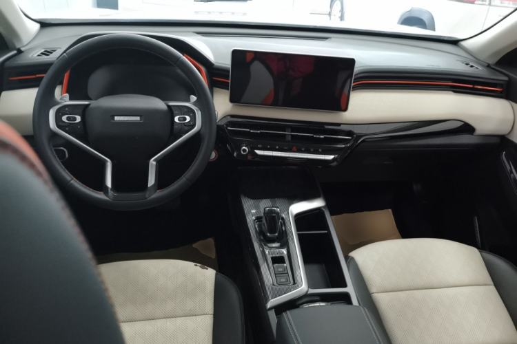 Used Haval LHERY 2021 High-Performance Version 1.5T Golden Rabbit Center Console