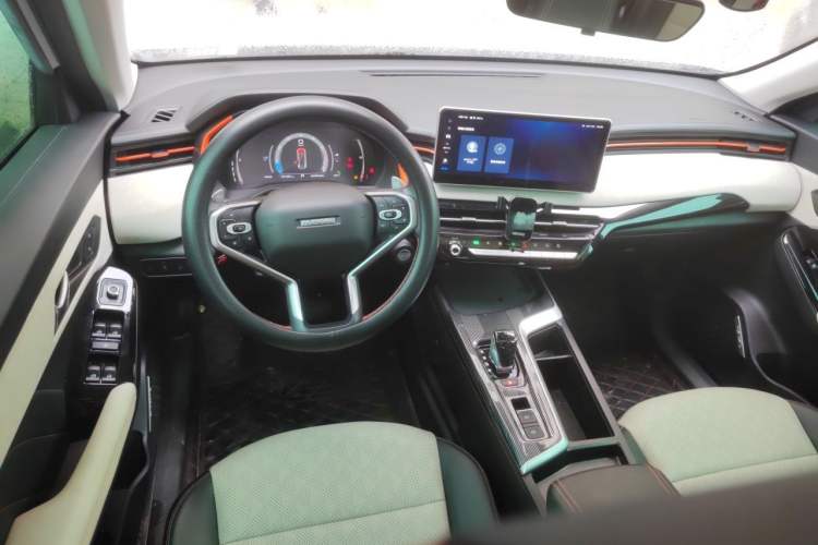 Used Haval LHERY 2021 High-Performance Version 1.5T Golden Rabbit Center Console