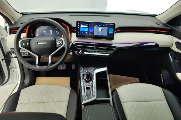 Used Haval LHERY 2021 High-Performance Version 1.5T Golden Rabbit Center Console