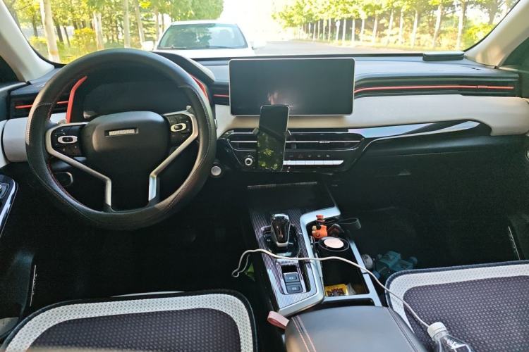 Used Haval LHERY 2021 High-Performance Version 1.5T Golden Rabbit Center Console