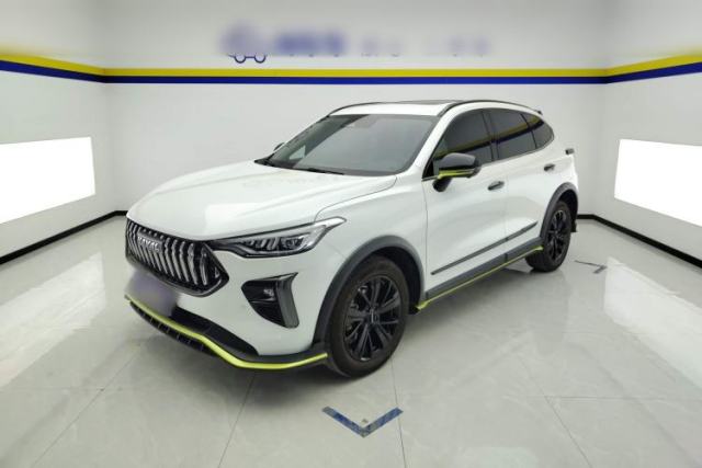 Used Haval LHERY 2021 High-Performance Version 1.5T Golden Rabbit