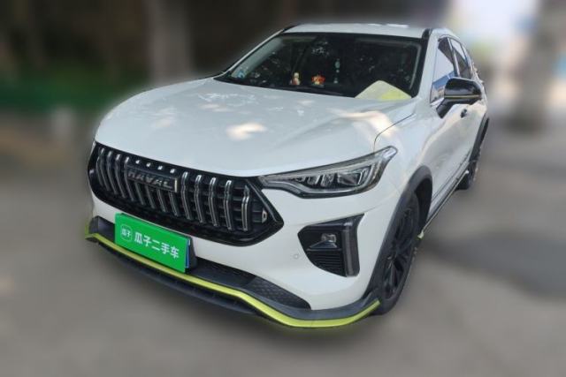 Used Haval LHERY 2021 High-Performance Version 1.5T Golden Rabbit