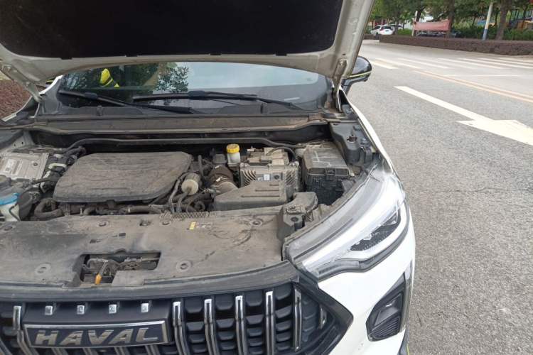 Used Haval LHERY 2021 High-Performance Version 1.5T Golden Rabbit Engine Bay Left
