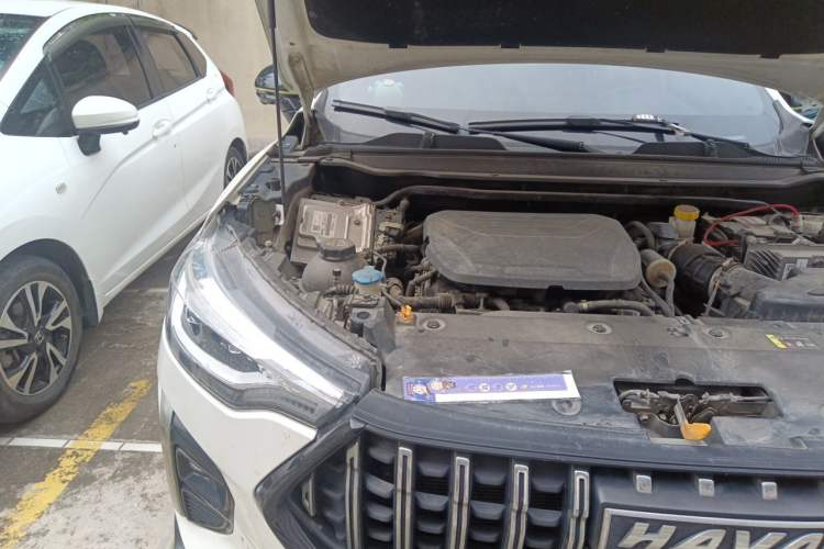 Used Haval LHERY 2021 High-Performance Version 1.5T Golden Rabbit Engine Bay Right