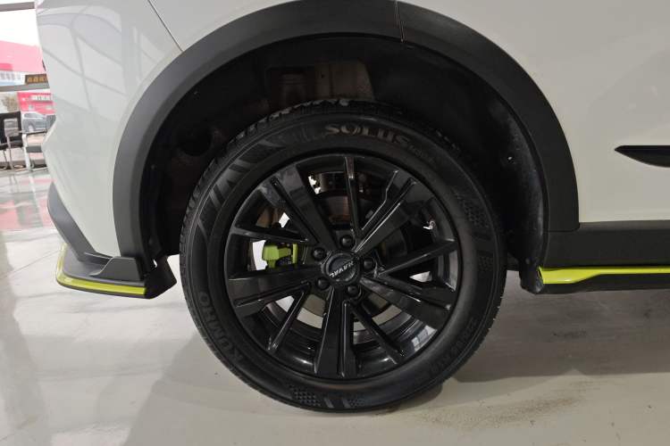 Used Haval LHERY 2021 High-Performance Version 1.5T Golden Rabbit Exterior 5