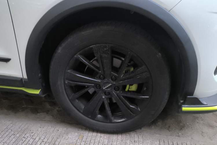 Used Haval LHERY 2021 High-Performance Version 1.5T Golden Rabbit Exterior 7