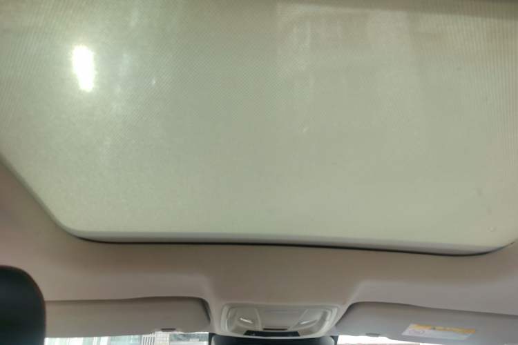 Used Haval LHERY 2021 High-Performance Version 1.5T Golden Rabbit Headliner