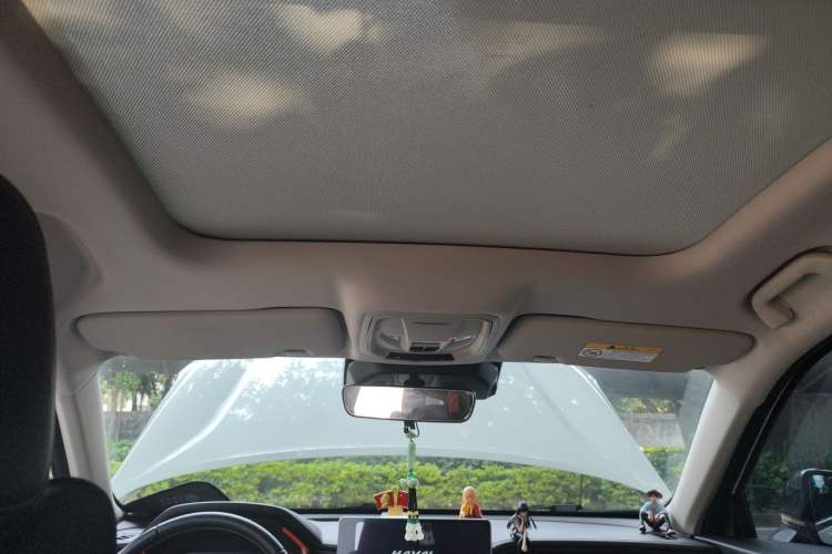 Used Haval LHERY 2021 High-Performance Version 1.5T Golden Rabbit Headliner