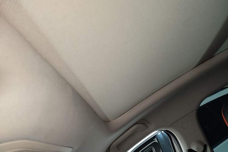 Used Haval LHERY 2021 High-Performance Version 1.5T Golden Rabbit Headliner