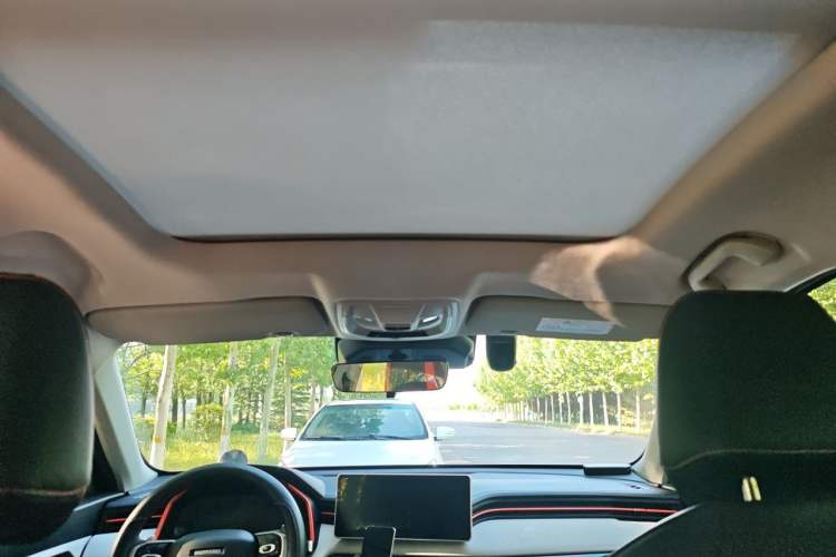 Used Haval LHERY 2021 High-Performance Version 1.5T Golden Rabbit Headliner