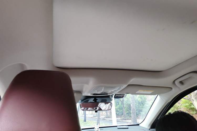 Used Haval LHERY 2021 High-Performance Version 1.5T Golden Rabbit Headliner