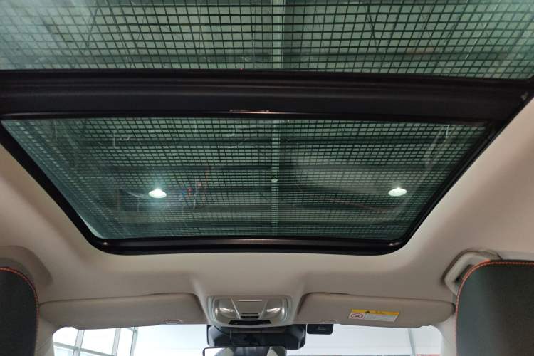 Used Haval LHERY 2021 High-Performance Version 1.5T Golden Rabbit Headliner