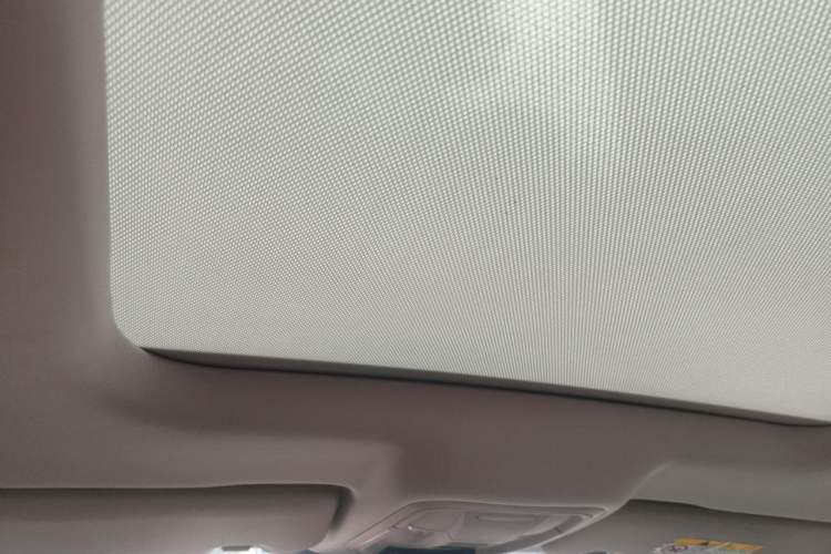 Used Haval LHERY 2021 High-Performance Version 1.5T Golden Rabbit Headliner
