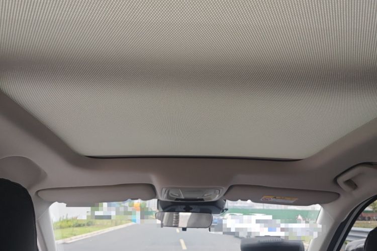 Used Haval LHERY 2021 High-Performance Version 1.5T Golden Rabbit Headliner