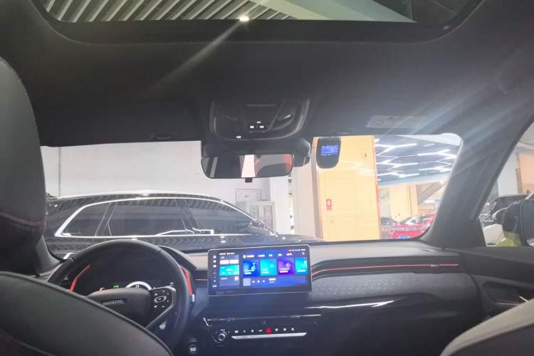 Used Haval LHERY 2021 High-Performance Version 1.5T Golden Rabbit Headliner