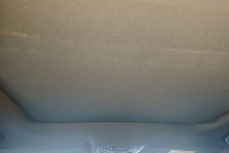 Used Haval LHERY 2021 High-Performance Version 1.5T Golden Rabbit Headliner