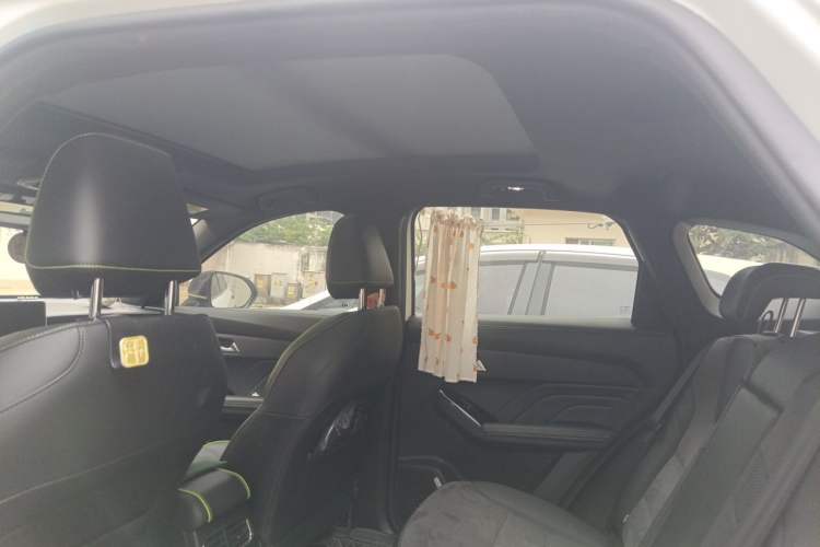 Used Haval LHERY 2021 High-Performance Version 1.5T Golden Rabbit Headliner