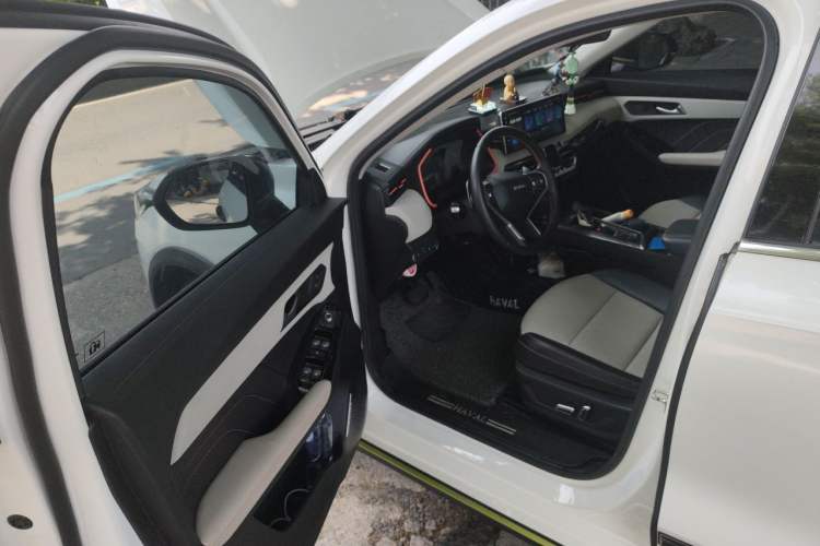 Used Haval LHERY 2021 High-Performance Version 1.5T Golden Rabbit Interior 3