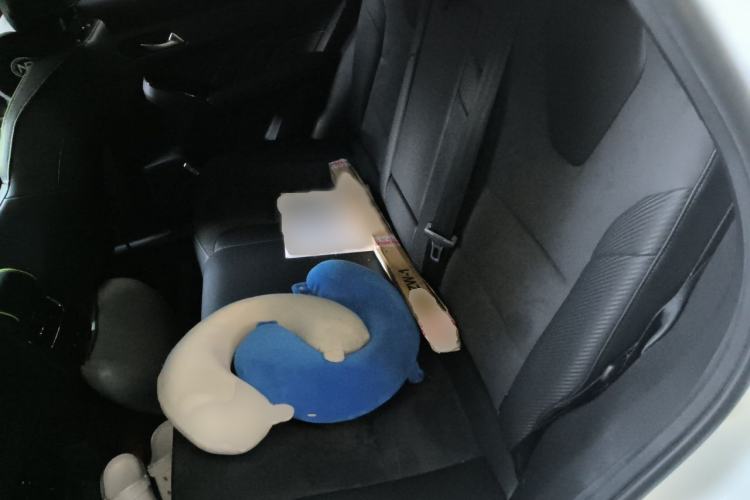 Used Haval LHERY 2021 High-Performance Version 1.5T Golden Rabbit Interior 4