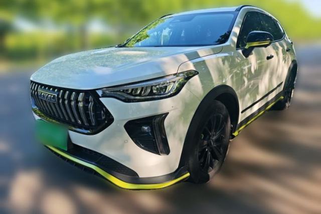 Used Haval LHERY 2021 High-Performance Version 1.5T Golden Rabbit