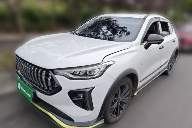 Used Haval LHERY 2021 High-Performance Version 1.5T Golden Rabbit