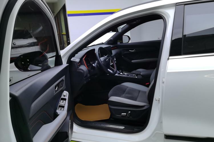 Used Haval LHERY 2021 GT Edition 1.5T Platinum Rabbit Left Front Seat