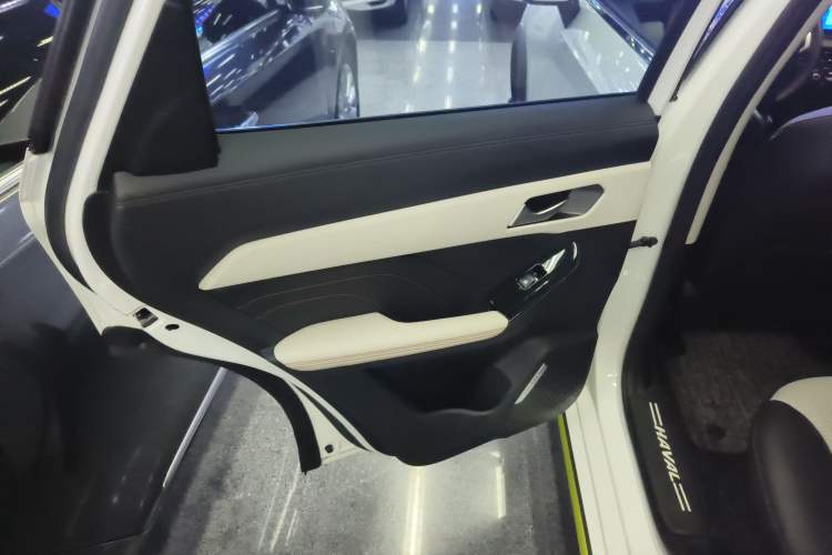 Used Haval LHERY 2021 GT Edition 1.5T Platinum Rabbit Left Rear Door Interior