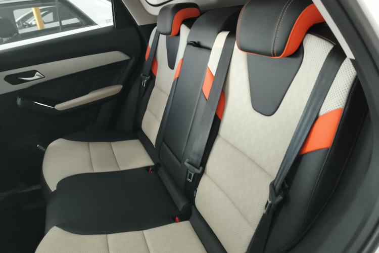 Used Haval LHERY 2021 High-Performance Version 1.5T Golden Rabbit Left Rear Seat