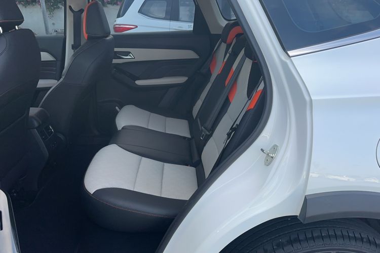 Used Haval LHERY 2021 High-Performance Version 1.5T Golden Rabbit Left Rear Seat