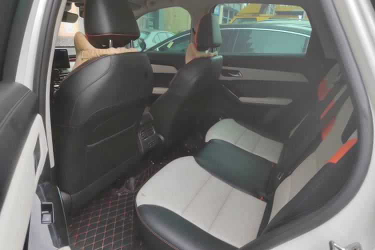 Used Haval LHERY 2021 High-Performance Version 1.5T Golden Rabbit Left Rear Seat