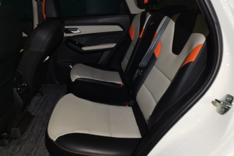 Used Haval LHERY 2021 High-Performance Version 1.5T Golden Rabbit Left Rear Seat