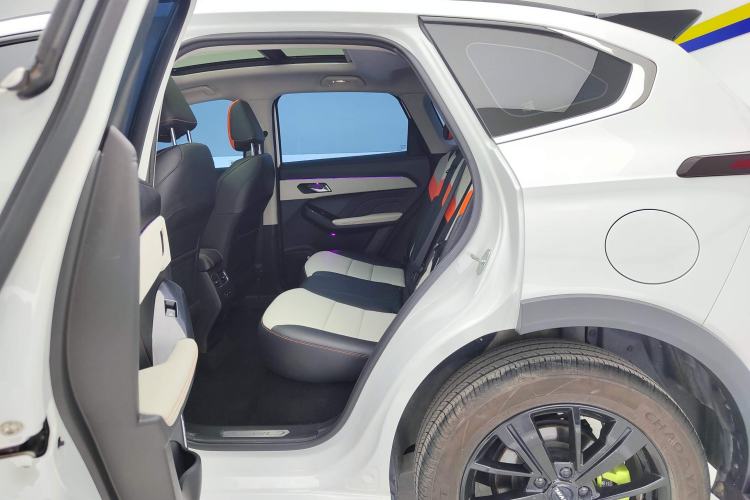 Used Haval LHERY 2021 High-Performance Version 1.5T Golden Rabbit Left Rear Seat