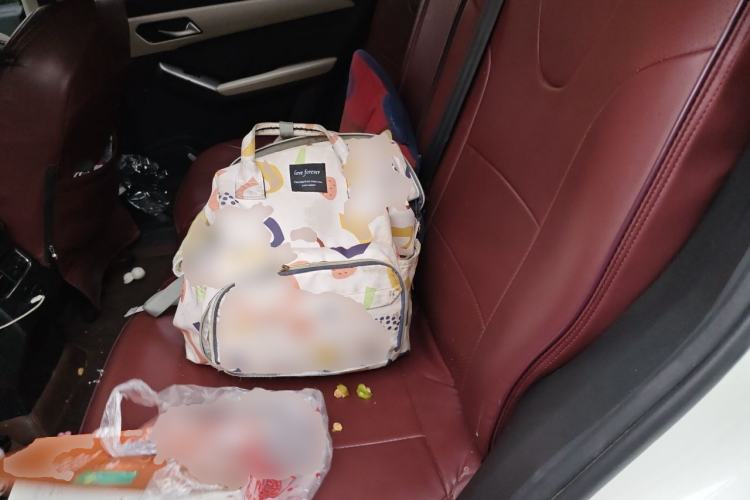Used Haval LHERY 2021 High-Performance Version 1.5T Golden Rabbit Left Rear Seat