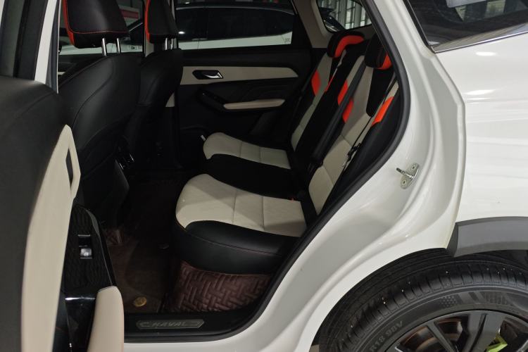 Used Haval LHERY 2021 High-Performance Version 1.5T Golden Rabbit Left Rear Seat