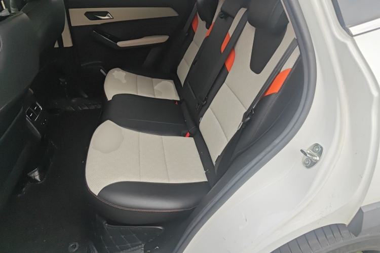 Used Haval LHERY 2021 High-Performance Version 1.5T Golden Rabbit Left Rear Seat