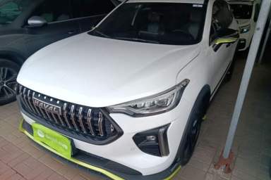 Used Haval LHERY 2021 High-Performance Version 1.5T Golden Rabbit