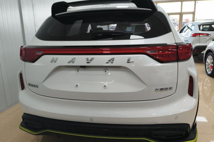 Used Haval LHERY 2021 High-Performance Version 1.5T Golden Rabbit Rear