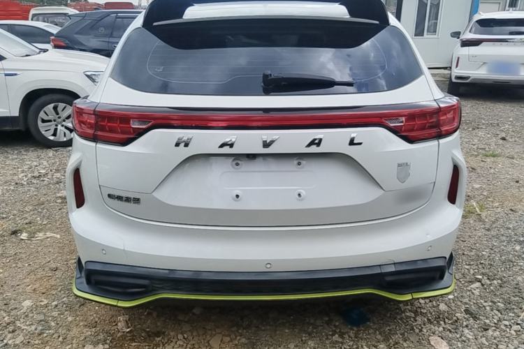 Used Haval LHERY 2021 High-Performance Version 1.5T Golden Rabbit Rear