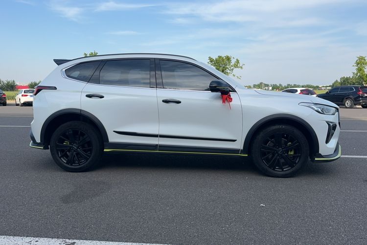Used Haval LHERY 2021 High-Performance Version 1.5T Golden Rabbit Rear
