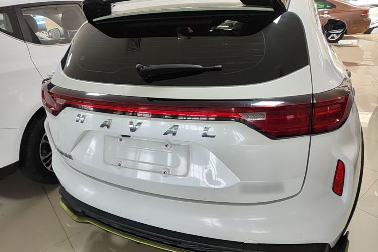 Used Haval LHERY 2021 High-Performance Version 1.5T Golden Rabbit Rear
