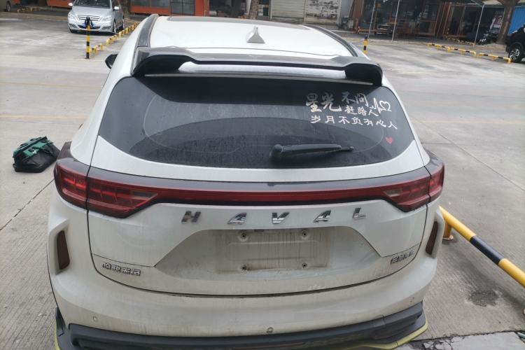 Used Haval LHERY 2021 High-Performance Version 1.5T Golden Rabbit Rear