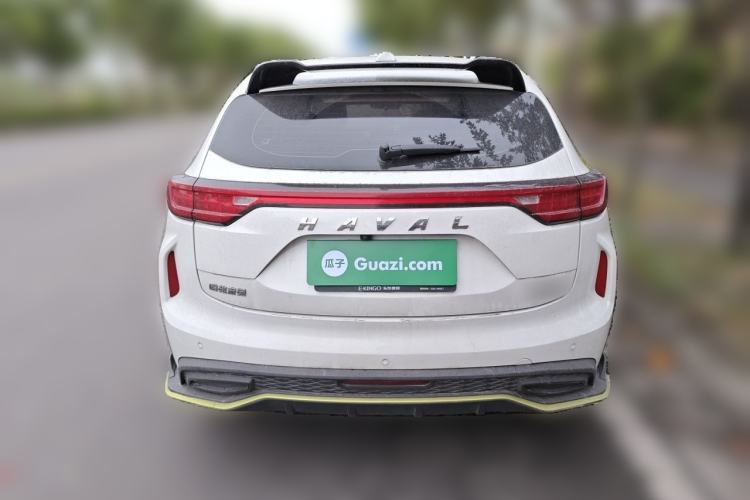 Used Haval LHERY 2021 High-Performance Version 1.5T Golden Rabbit Rear