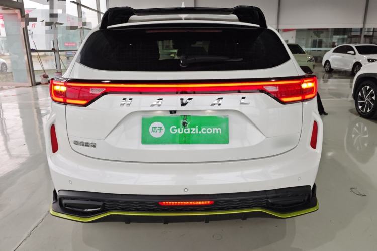 Used Haval LHERY 2021 High-Performance Version 1.5T Golden Rabbit Rear