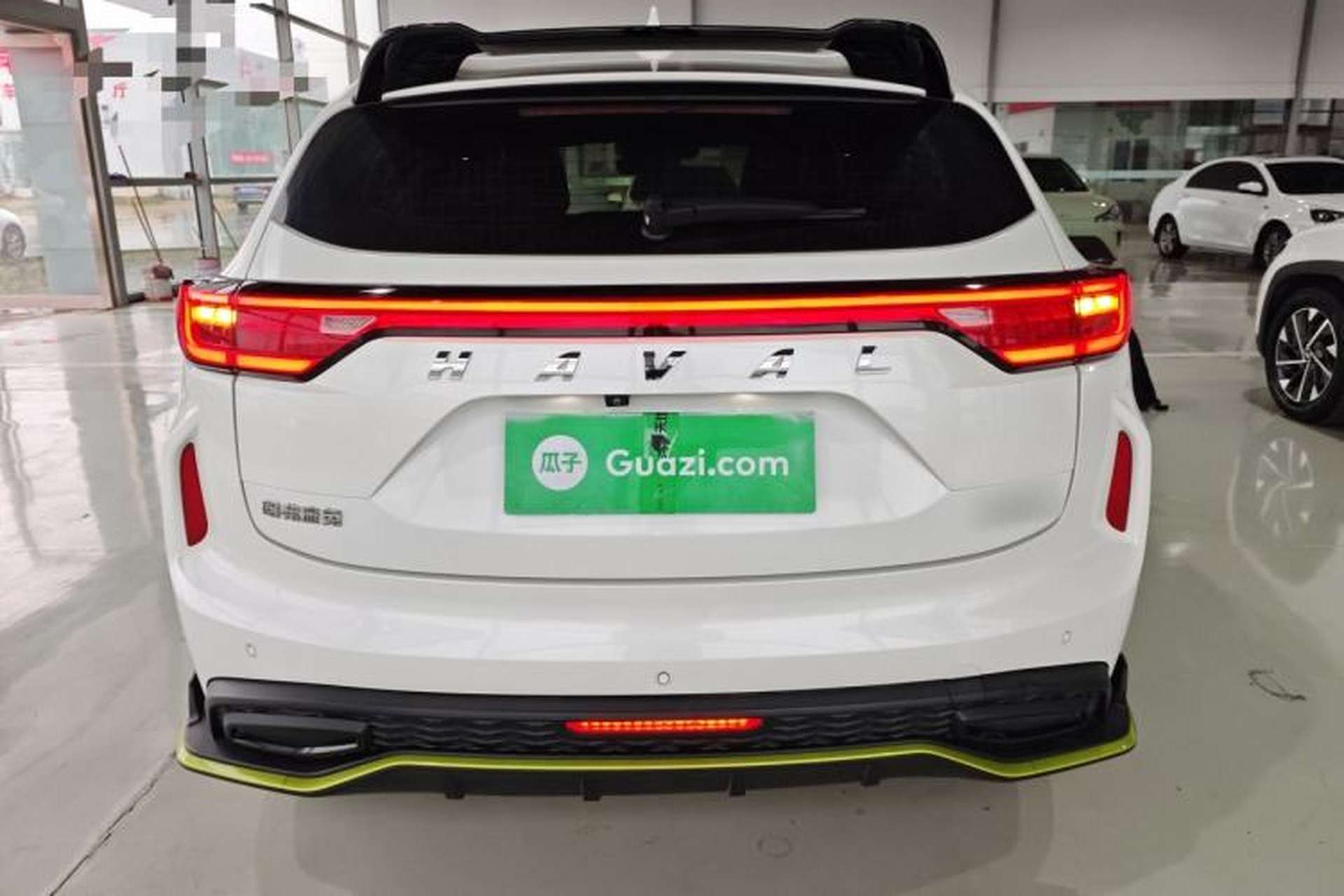 Used Haval LHERY 2021 High-Performance Version 1.5T Golden Rabbit Rear